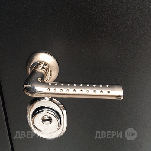 Входная металлическая Дверь Ратибор Эверест Венге в Мытищах