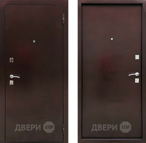 Дверь Ратибор Дачная металл/металл в Мытищах