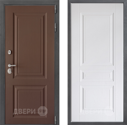 Входная металлическая Дверь Дверной континент ДК-3/729 ФЛ-243 Альберо Браш серебро в Мытищах