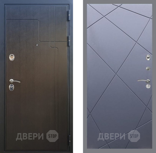 Входная металлическая Дверь Рекс (REX) Премиум-246 FL-291 Силк титан в Мытищах