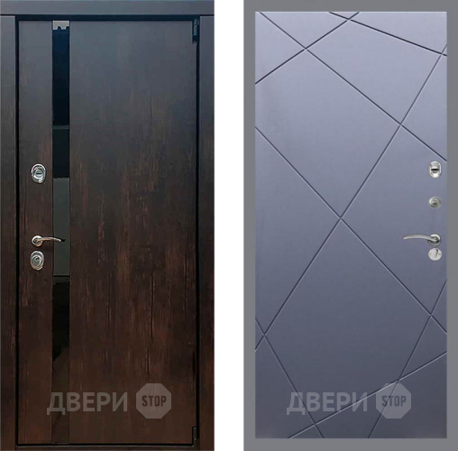 Дверь Рекс (REX) 26 FL-291 Силк титан в Мытищах
